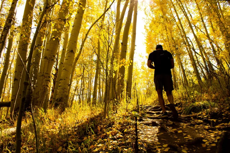 When Everyone Else Goes Home, I Book My Flight: A Love Letter to the Off-Season